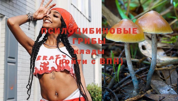соль курить ск Белокуриха
