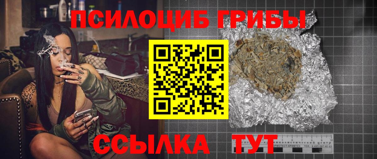 Псилоцибиновые грибы Cubensis Губаха