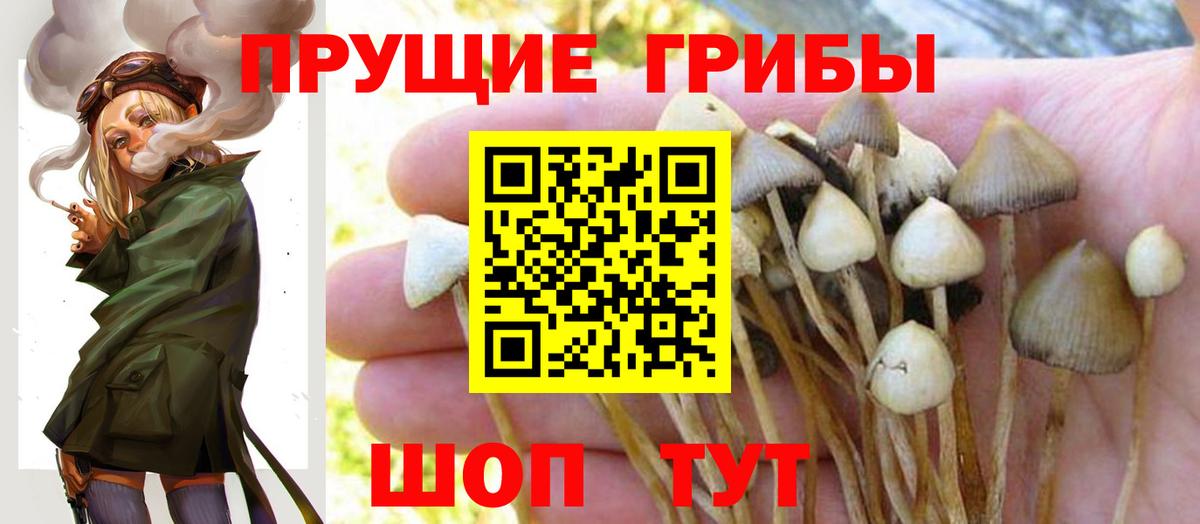 Псилоцибиновые грибы ЛСД  Вход с VPN  Галлюциногенные грибы Psilocybe  Губаха 