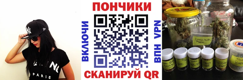 где можно купить   Губаха  МАРИХУАНА сатива 
